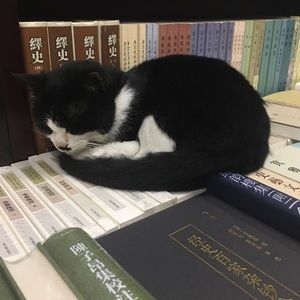 Meet your Posher, Liang